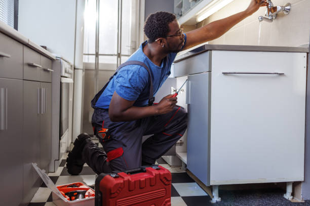 Best Plumbing Services Near Me  in Roseto, PA